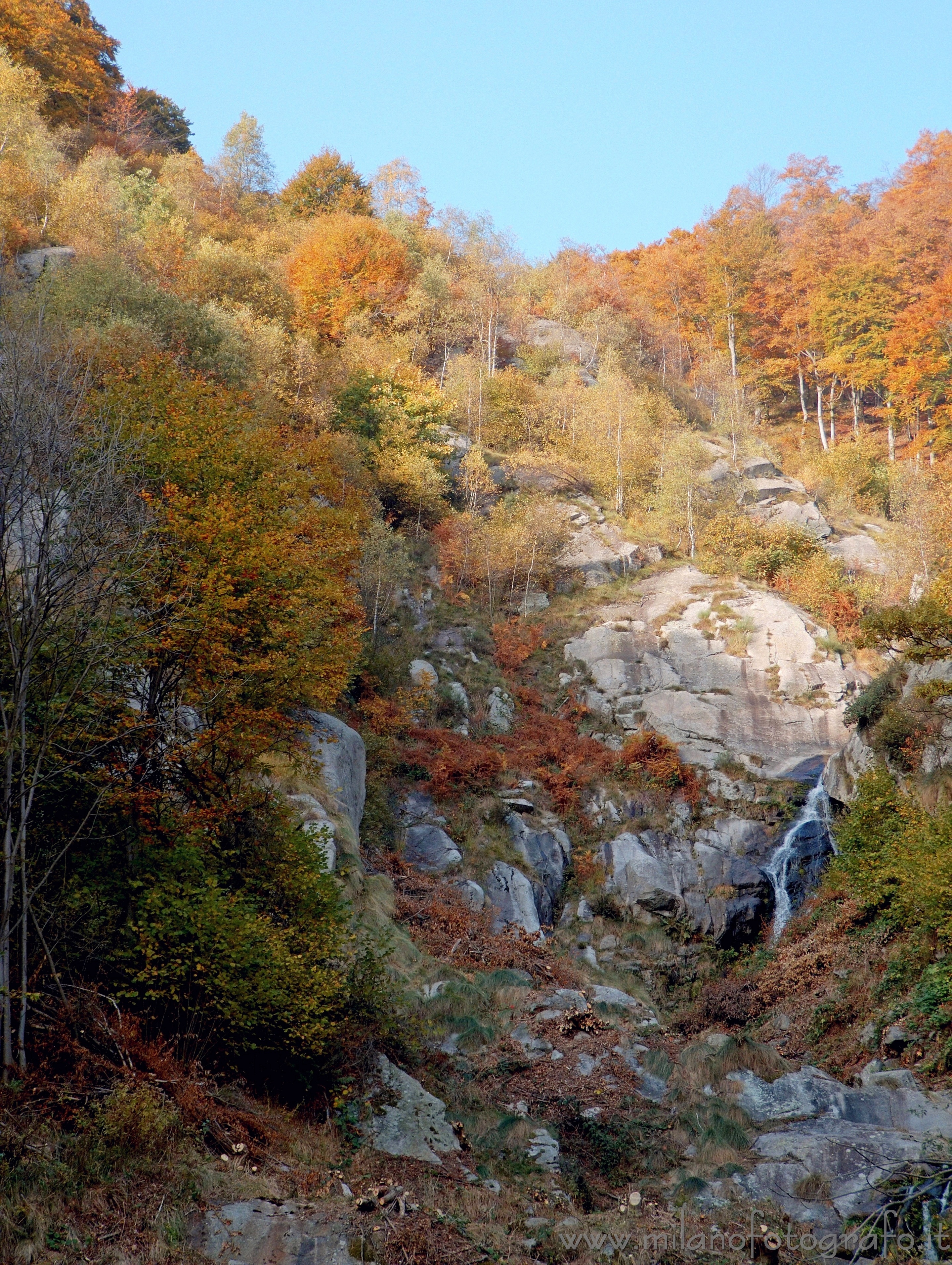 Piaro (Biella, Italy): Multicolord autumn woods - Piaro (Biella, Italy)