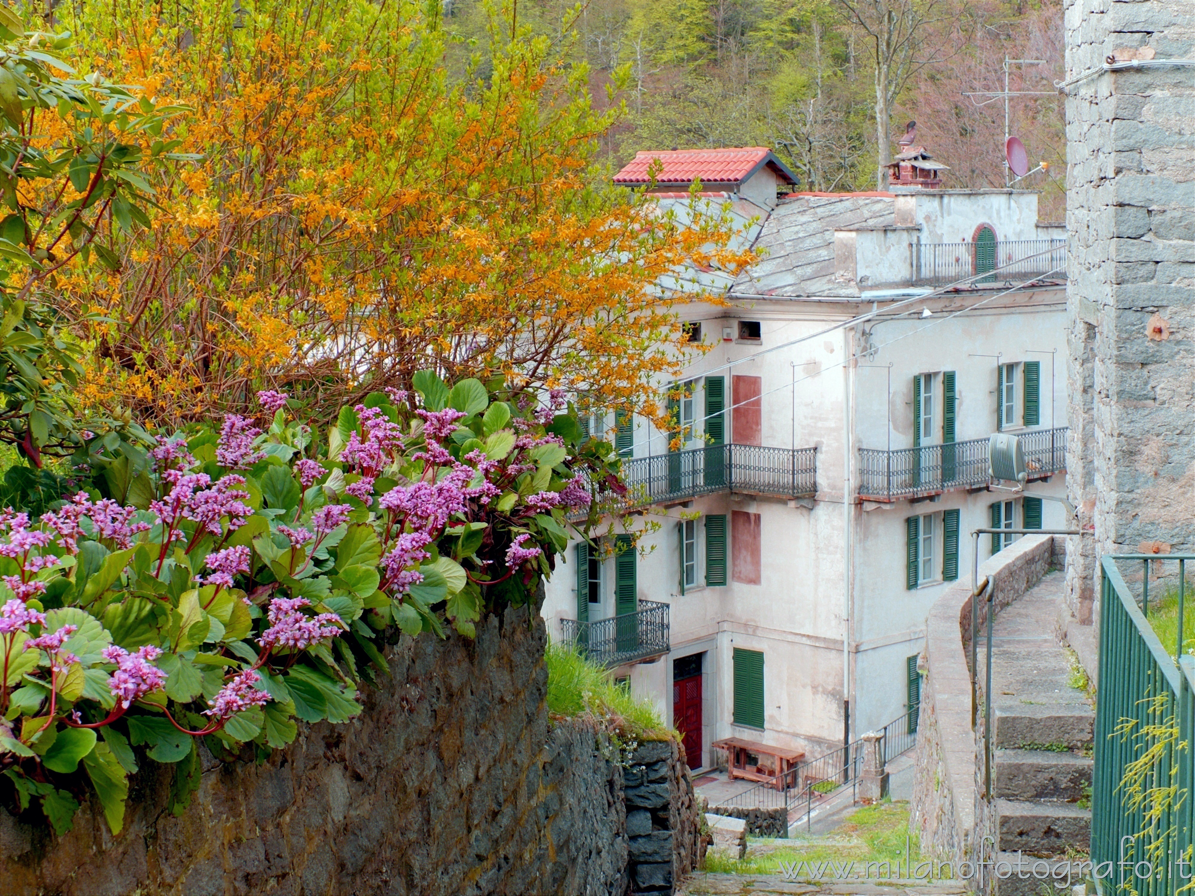 Rosazza (Biella, Italy): Small street of the village with flowering in bloom - Rosazza (Biella, Italy)