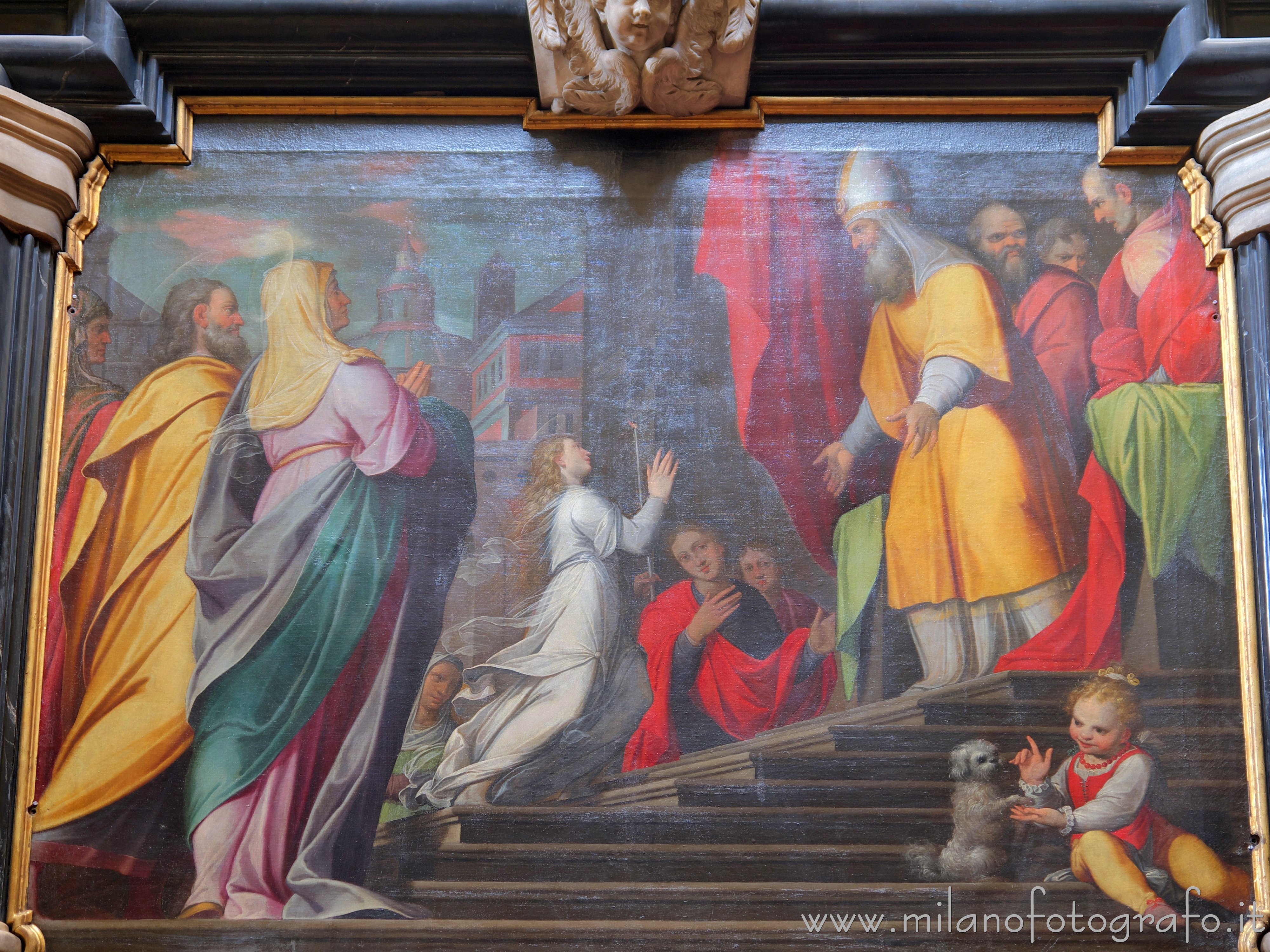 Milan (Italy): Presentation of Jesus at the temple by Camillo Procaccini in the Church of Santa Maria del Carmine - Milan (Italy)