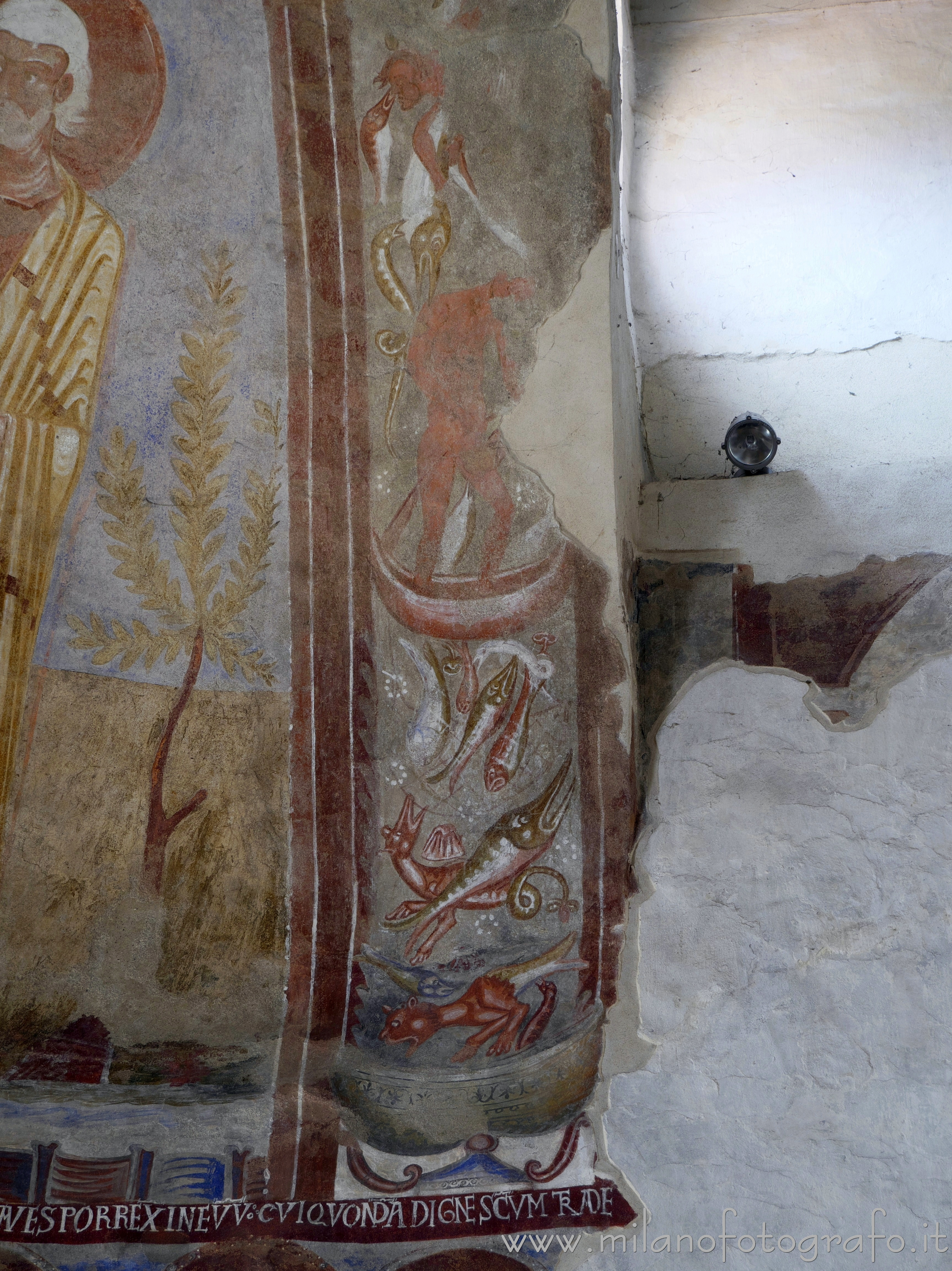 Carpignano Sesia (Novara, Italy): Frescoes of fishes and fantastic animals in St. Peter's Church - Carpignano Sesia (Novara, Italy)