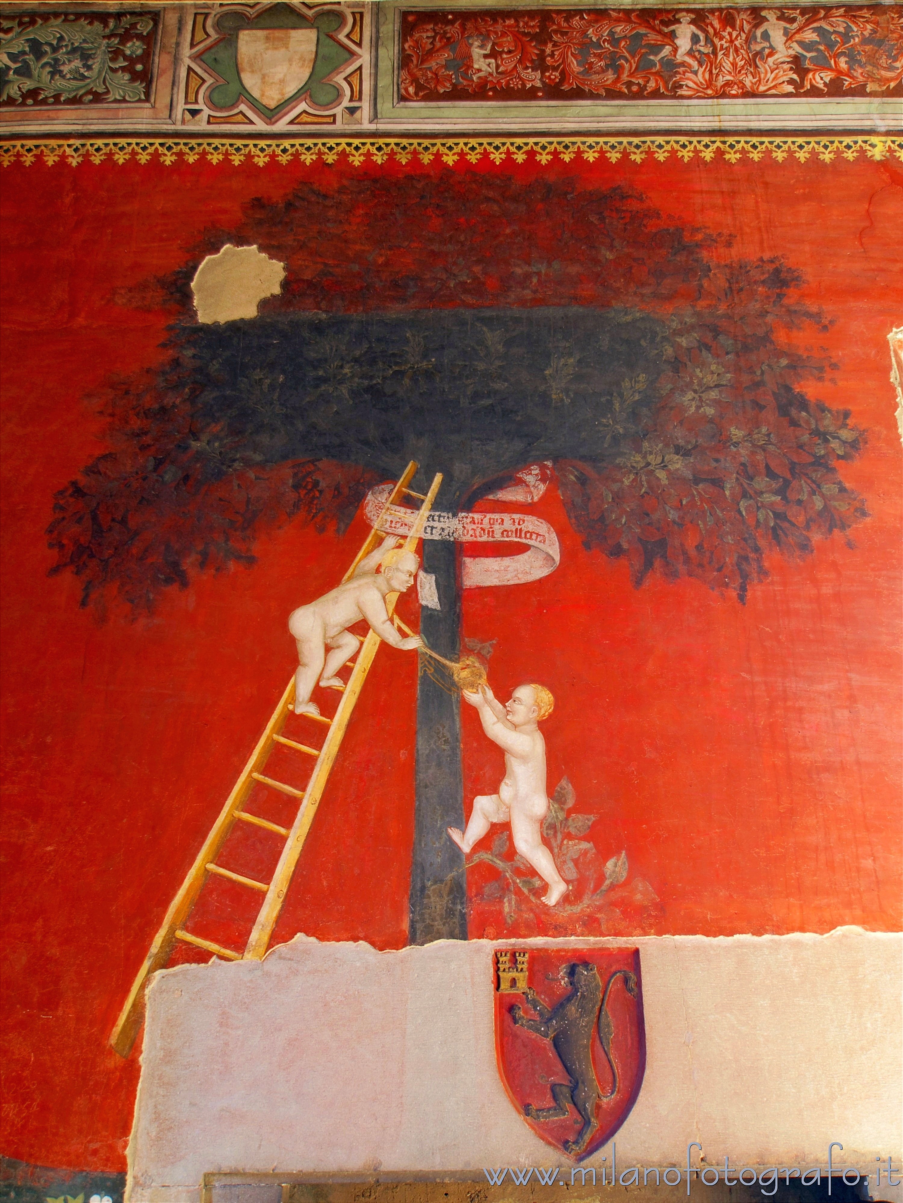 Castiglione Olona (Varese, Italy): Renaissance frescoes in the room of the Cardinal in Branda Palace - Castiglione Olona (Varese, Italy)