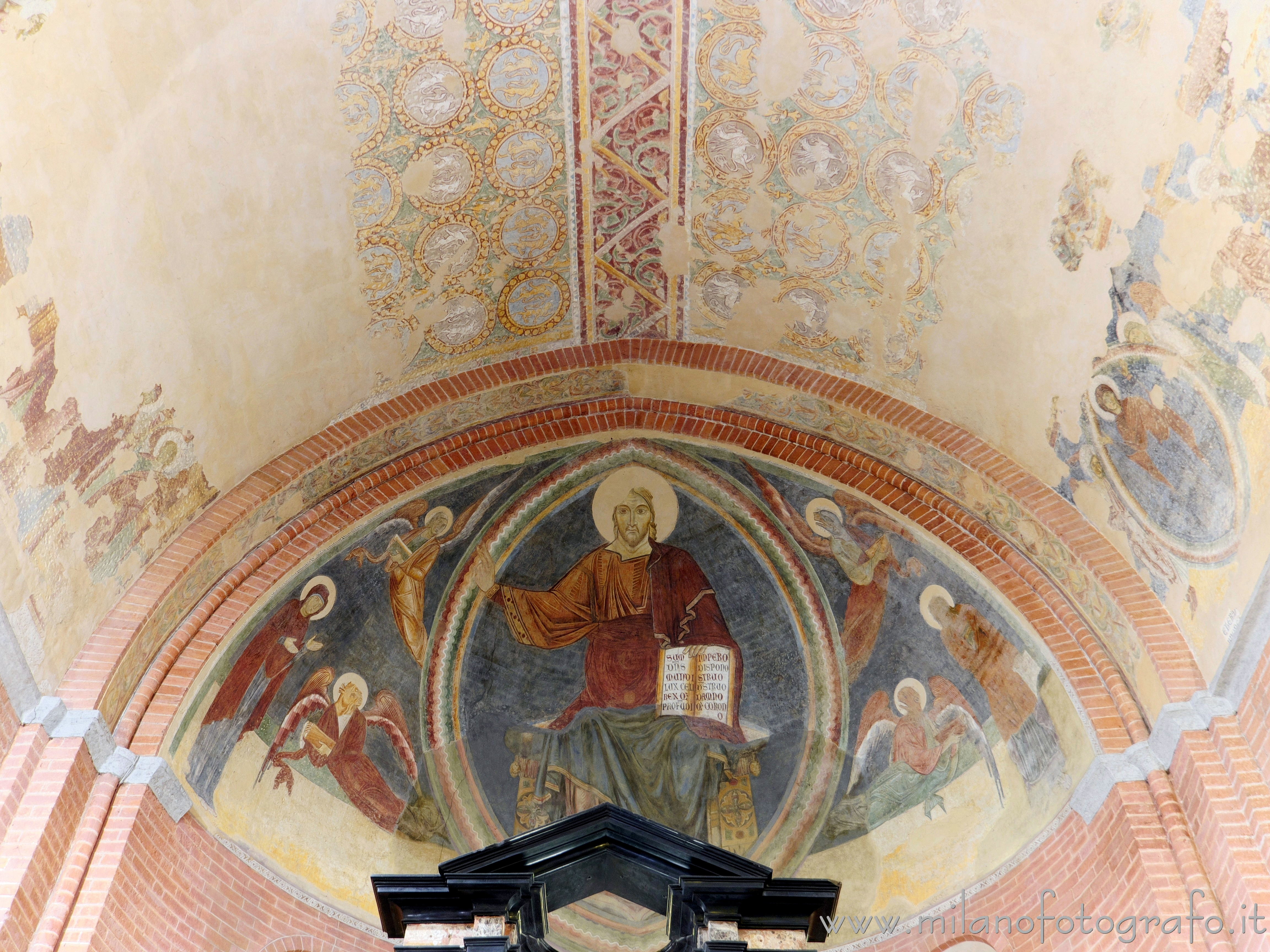 Milan (Italy): Vault of the presbytery and apsidal basin of the Church of Santa Maria Rossa in Crescenzago - Milan (Italy)