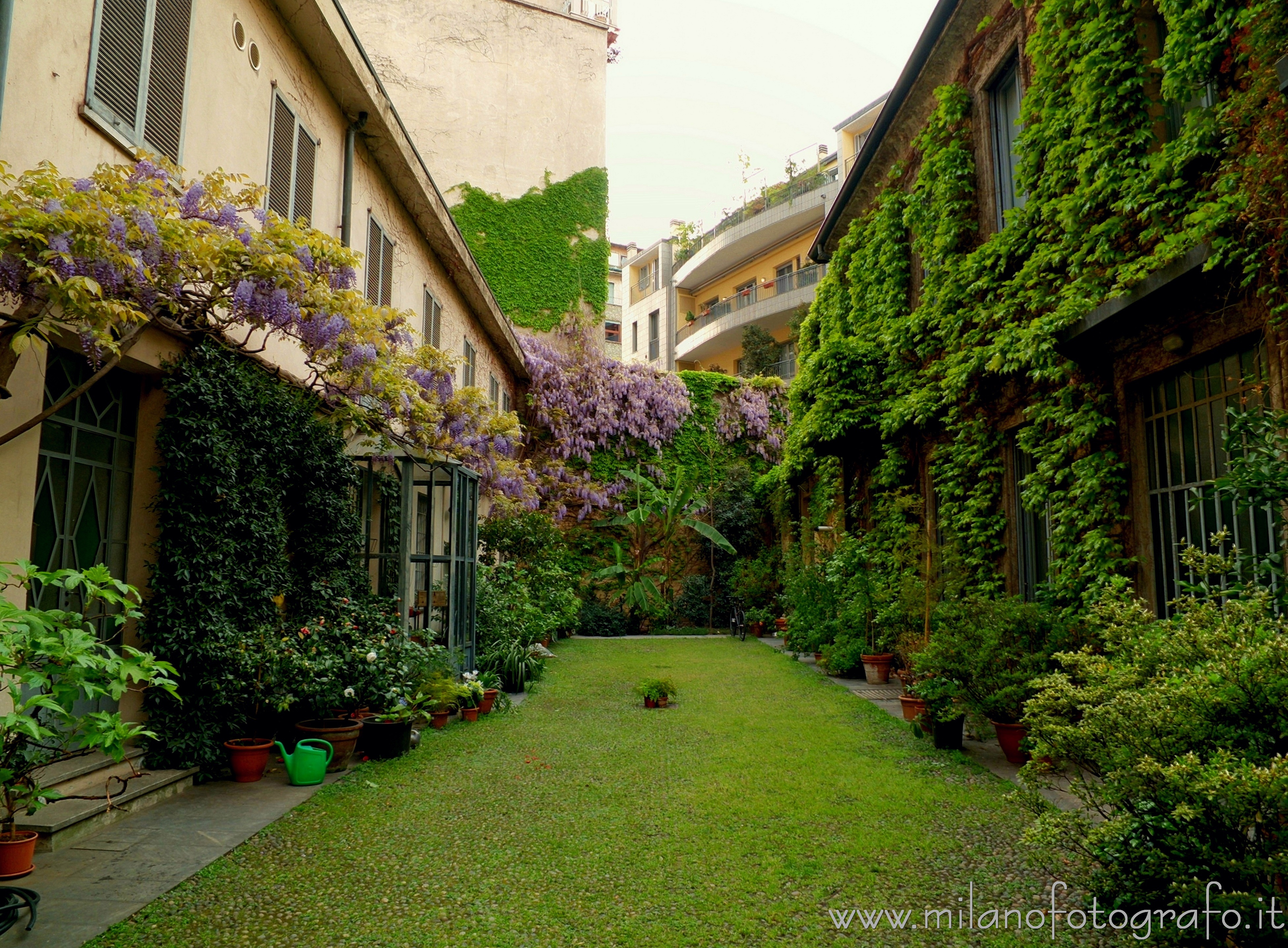 Milan (Italy): Flowered courtyard in Corso Garibaldi - Milan (Italy)
