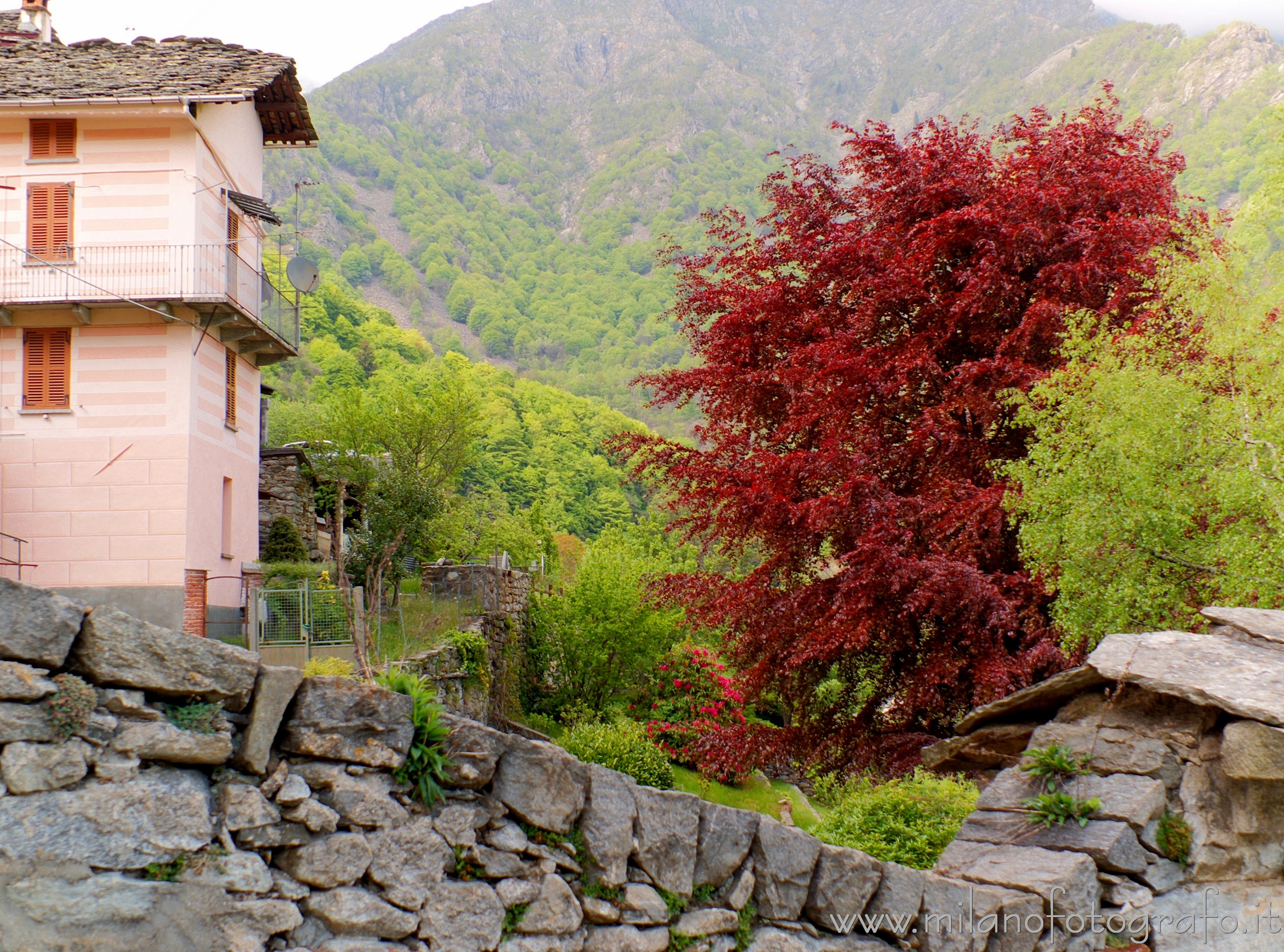 Montesinaro frazione di Piedicavallo (Biella): Colori della tarda primavera - Montesinaro frazione di Piedicavallo (Biella)
