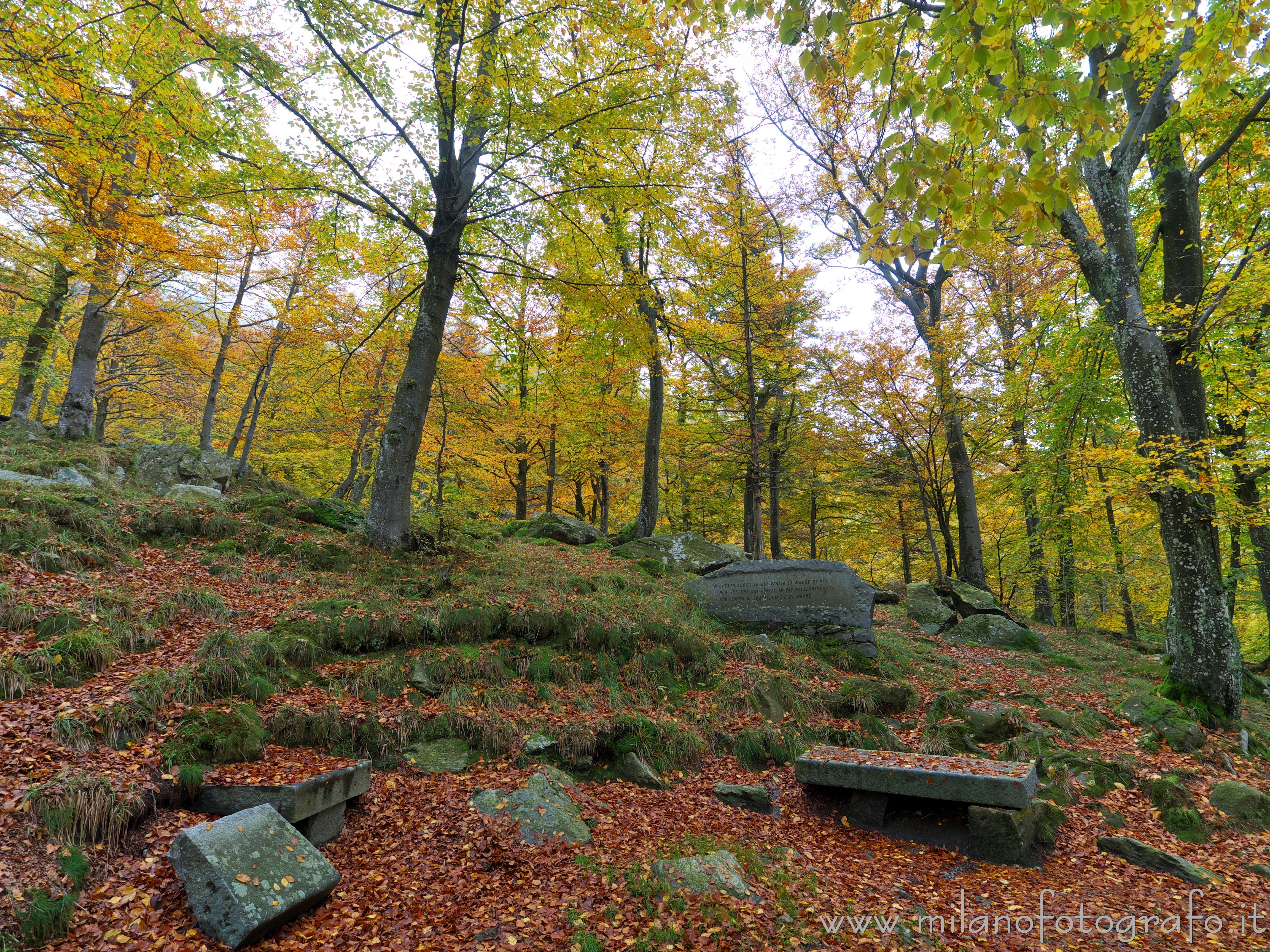 Biella: Pietre coperte di muschio nel bosco autunnale nei boschi intorno al Santuario di Oropa - Biella