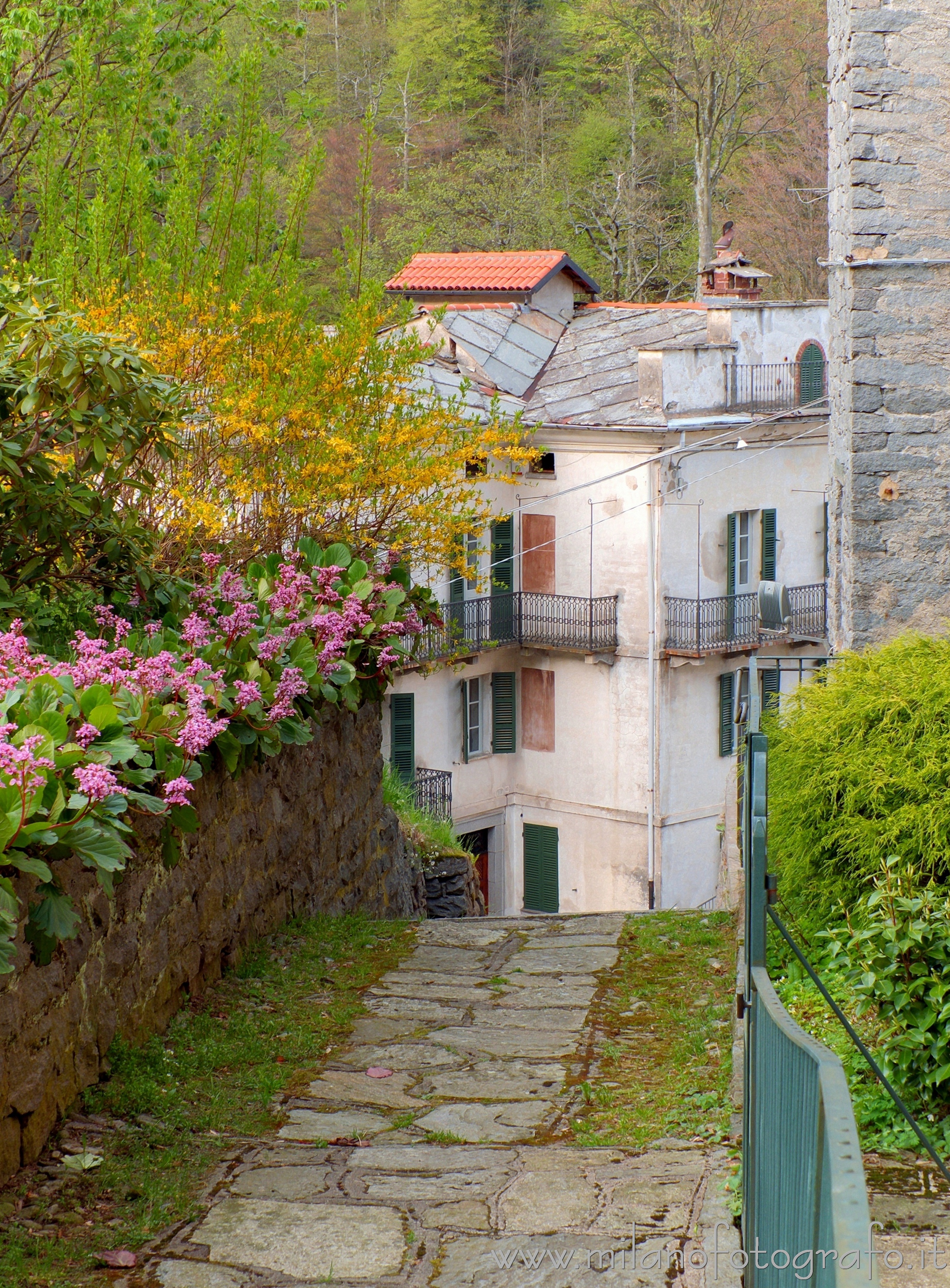 Rosazza (Biella, Italy): Spring colors in the small street of the village  - Rosazza (Biella, Italy)