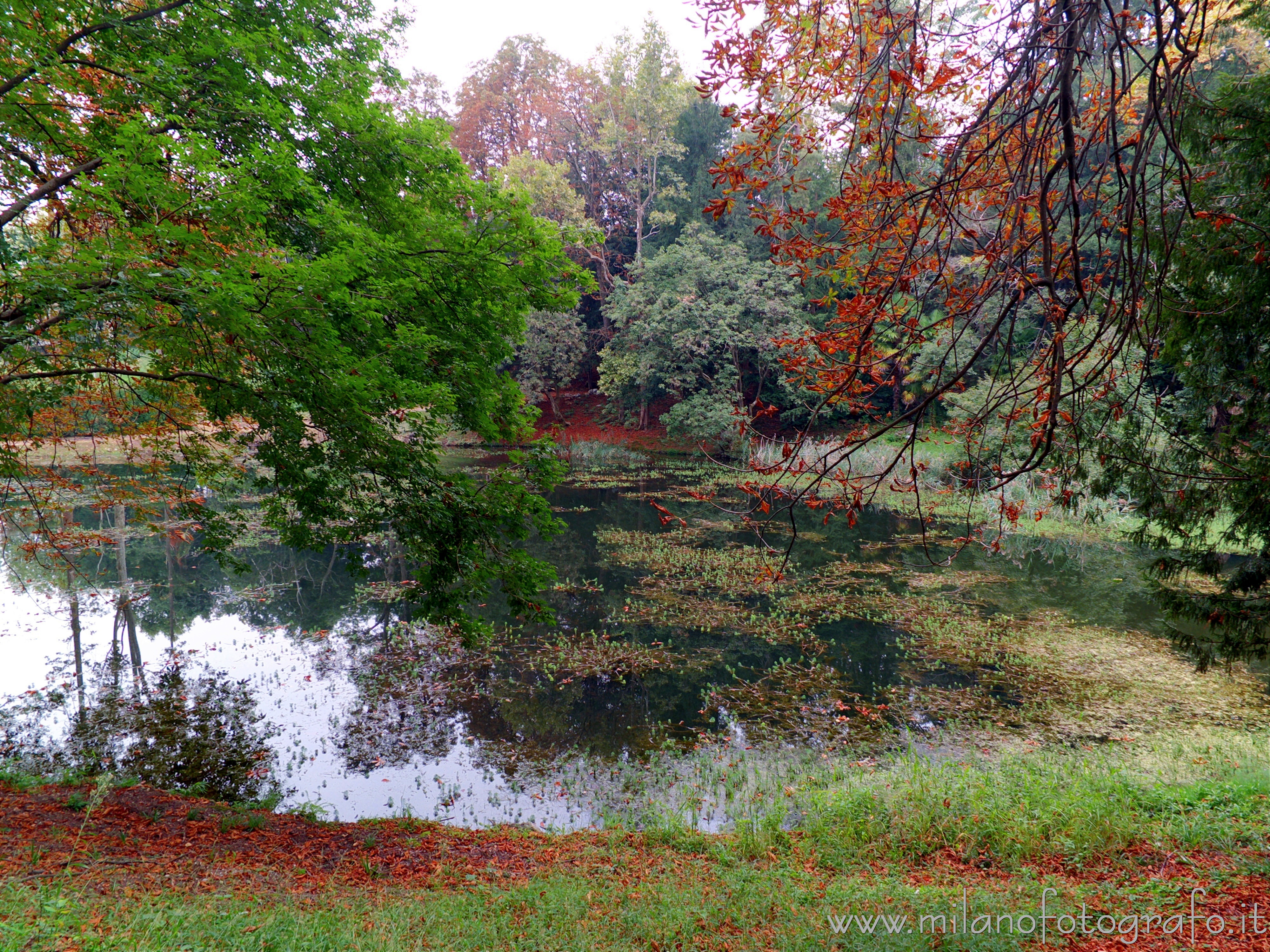 Sirtori (Lecco, Italy): The pond of the park of Villa Besana at the beginning of autumn - Sirtori (Lecco, Italy)