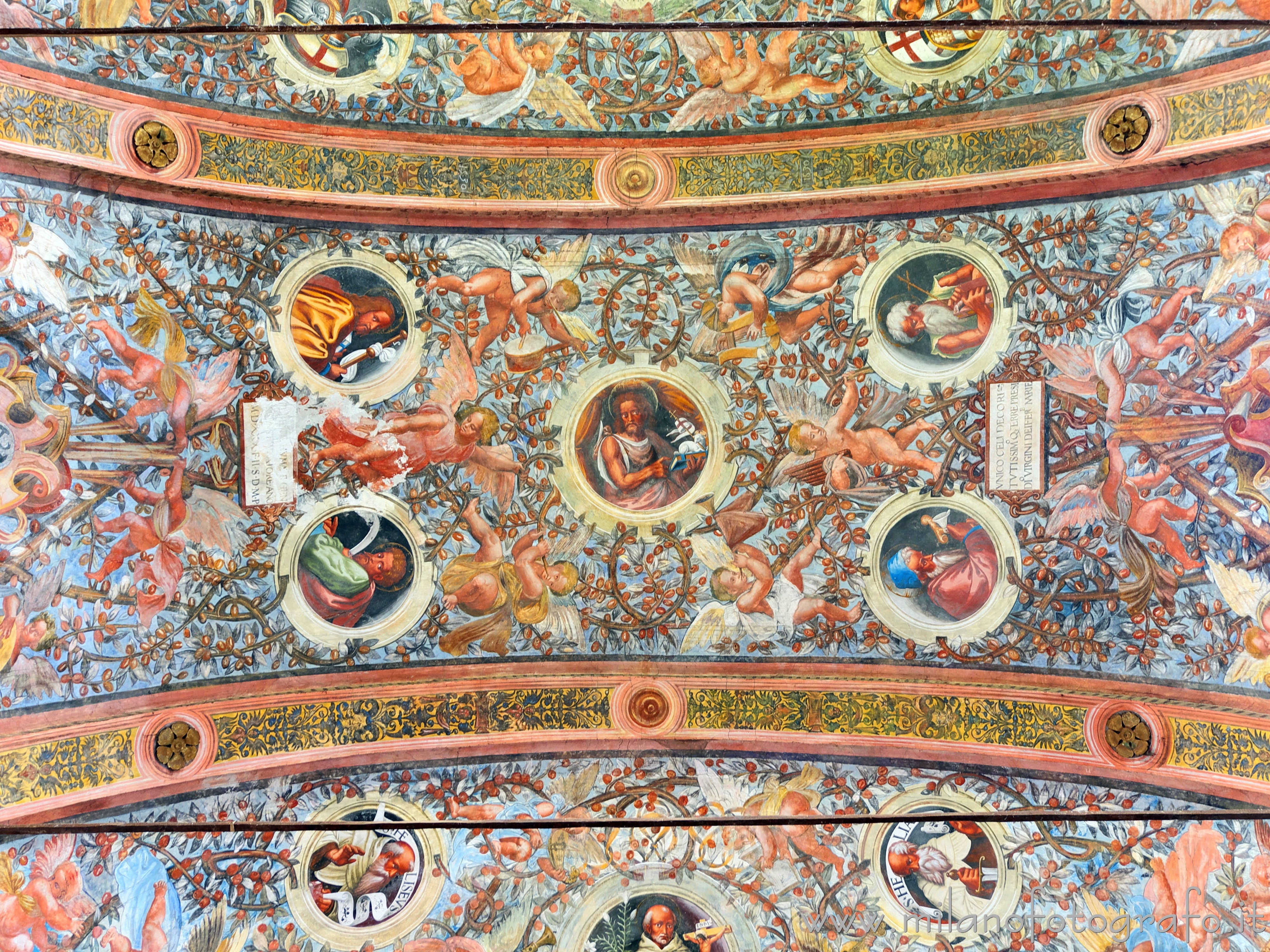 Soncino (Cremona, Italy): Detail of the ceiling of the Church of Santa Maria delle Grazie - Soncino (Cremona, Italy)