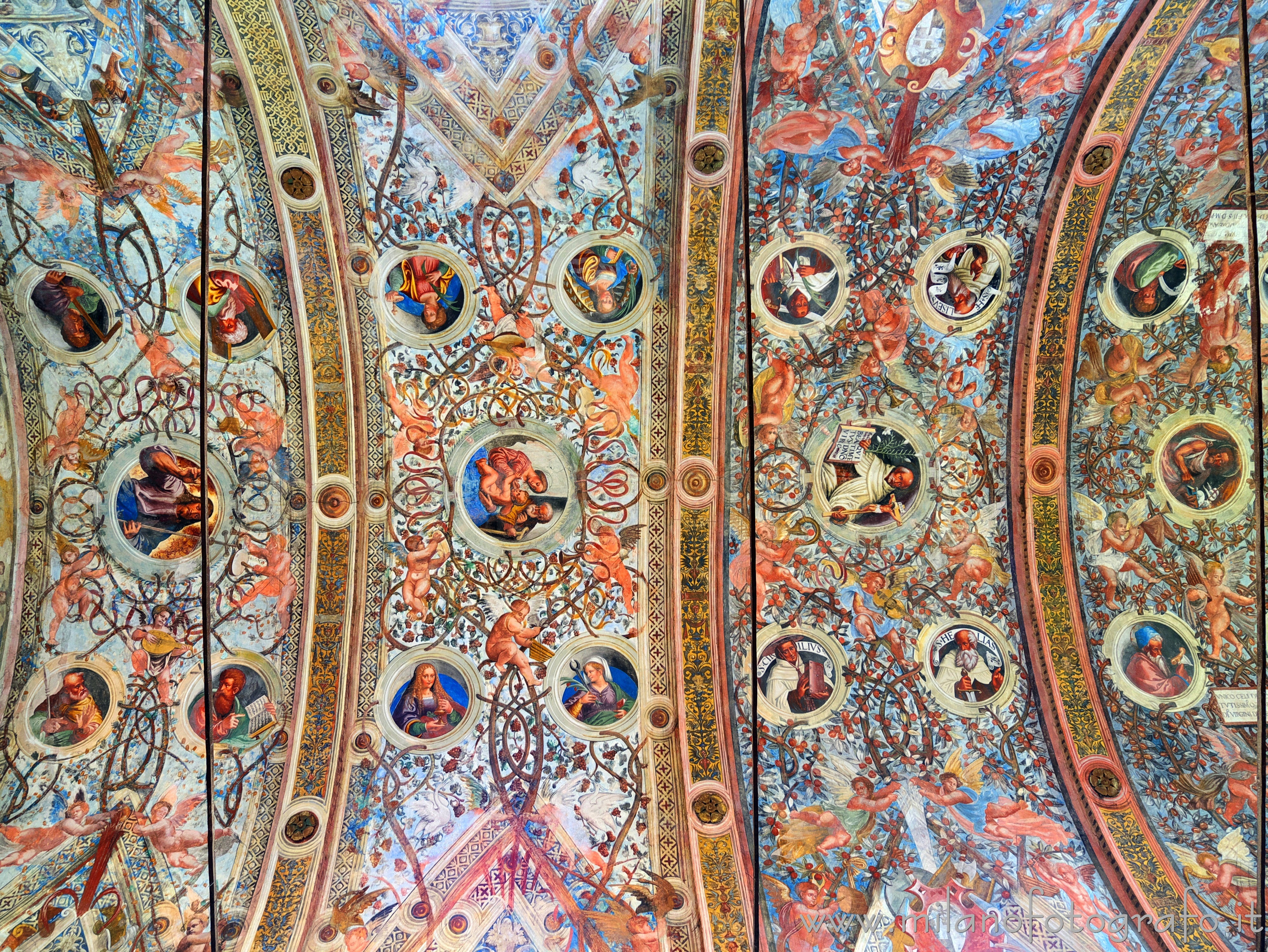 Soncino (Cremona, Italy): Ceiling of the Church of Santa Maria delle Grazie - Soncino (Cremona, Italy)