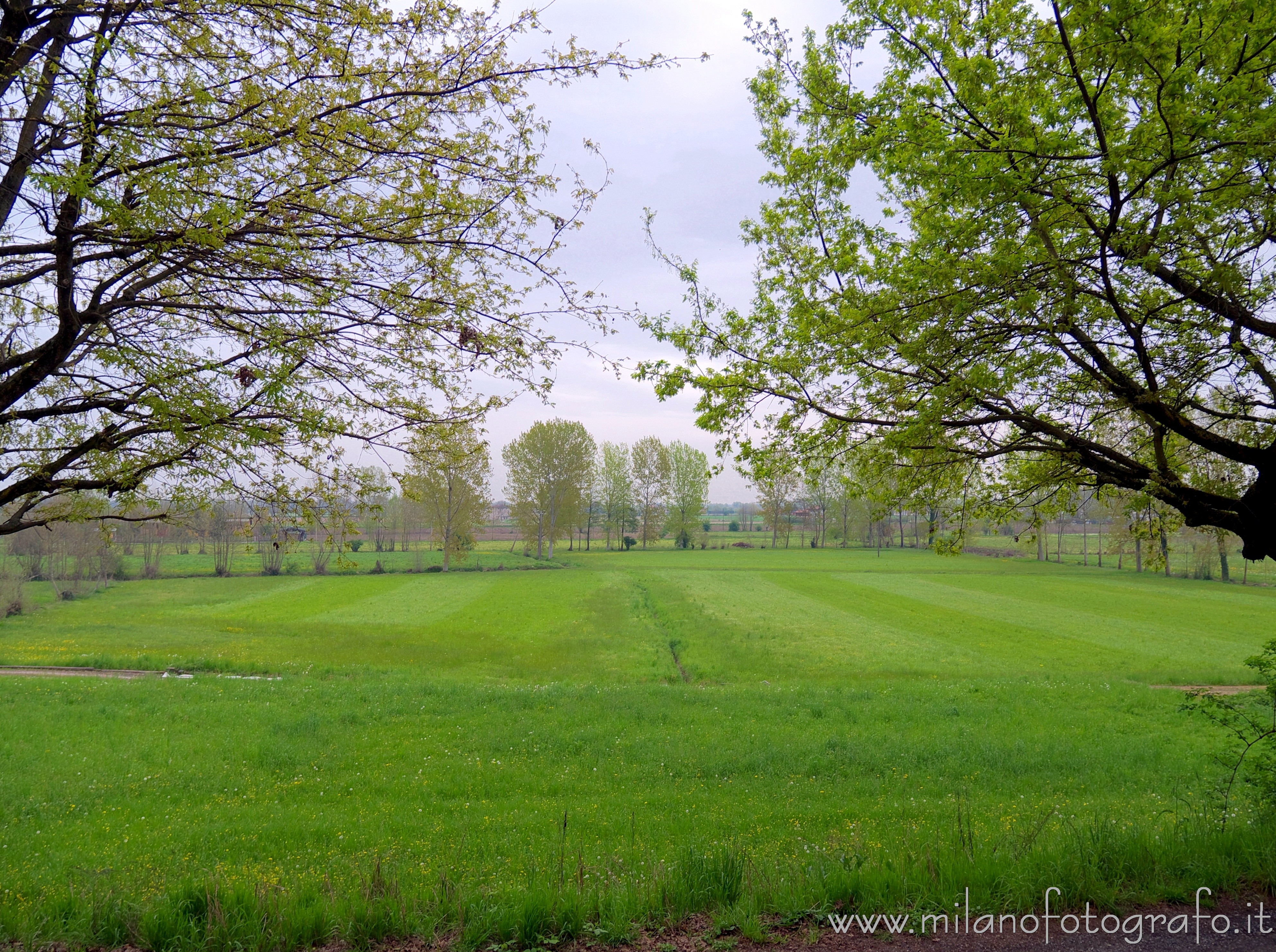 Soncino (Cremona, Italy): Spring countryside - Soncino (Cremona, Italy)