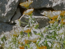 Crop Panasonic ISO: 100; 1/50; 5.8; correzione -2
