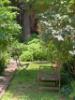 Foto Orto Botanico di Brera -  Altro