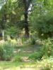 Foto Orto Botanico di Brera -  Altro
