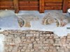 Foto Chiesetta dei Santi  Filippo e Giacomo -  Chiese / Edifici religiosi