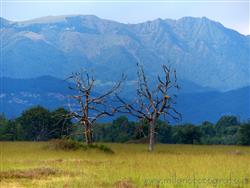 Places  of naturalistic value  of landscape value in the Biella area: Baraggia