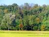 Foto Baraggia -  von naturalistichem Wert  von landschaflichem Wert