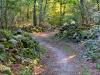 Foto Die Bessa -  von historischem Wert  von naturalistichem Wert  von landschaflichem Wert