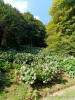 Foto Parco Burcina -  di interesse naturalistico  di interesse paesaggistico