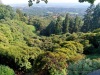 Foto Parco Burcina -  di interesse naturalistico  di interesse paesaggistico