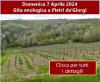 Foto 07/04/2024 - Spring enological trip to Pietra de Giorgi