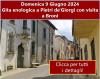 Foto 09/06/2024 - Gita enologica a Pietra de Giorgi e Broni