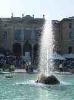 08-05-2011, Orticola: Foto 20