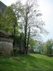 28-04-2012, Gita a Zavatterello (con Rocca del Verme) e Fortunago: Foto 64