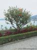 23-09-2012, Gita a Stresa e alle Isole Borromee: Bild 86