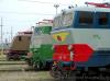 23-03-2013, Visita al Deposito delle Locomotive per la giornata del FAI di Primavera: Foto 24