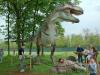 01-05-2013, Dinosauri in carne ed ossa al Parco di Monza: Foto 35
