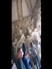 22-09-2013, Visita a Villa Litta Borromeo a Lainate: Picture 52