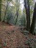 19-10-2013, A Carpugnino sul Lago Maggiore in cerca di castagne: Bild 39