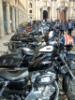 06-04-2014, Gita a Vigevano con visita al Castello e al Duomo: Picture 54