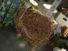 11-04-2014, Fuorisalone 2014 parte 2: Bild 35