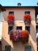 07-06-2014, Gita a Monte Isola (Lago di Iseo): Picture 11