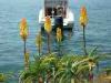 07-06-2014, Gita a Monte Isola (Lago di Iseo): Foto 16