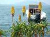 07-06-2014, Gita a Monte Isola (Lago di Iseo): Foto 17