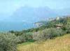 07-06-2014, Gita a Monte Isola (Lago di Iseo): Picture 36