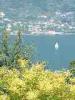 07-06-2014, Gita a Monte Isola (Lago di Iseo): Picture 76