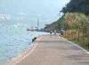 07-06-2014, Gita a Monte Isola (Lago di Iseo): Picture 89