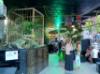 17-07-2014, Giovedì al Just Cavalli: Picture 4