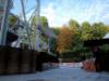 24-07-2014, Giovedì al Just Cavalli: Foto 7