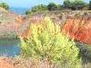 08-2015, Vacanze in Salento foto Fuji s100fs: Foto 21