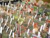 07-05-2016, Orticola 2016: Foto 13