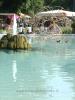 07-05-2016, Orticola 2016: Foto 30
