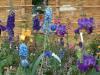07-05-2016, Orticola 2016: Foto 63