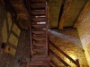 23-09-2017, Salita sul campanile della Basilica di San Vittore: Foto 6