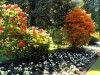 06-05-2018, Gita a Villa Taranto e Verbania: Foto 4