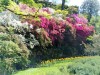 06-05-2018, Gita a Villa Taranto e Verbania: Foto 39