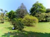 06-05-2018, Gita a Villa Taranto e Verbania: Foto 84